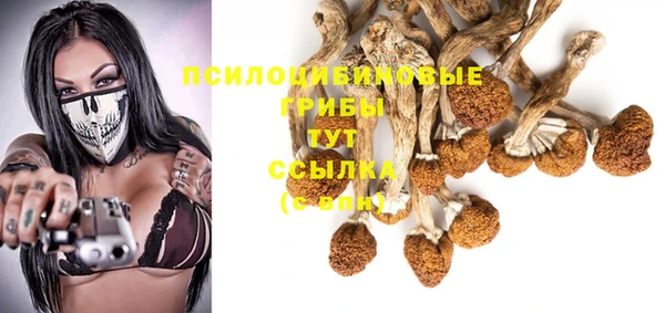 стаф Семикаракорск